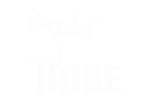 Tribe Fitness and Dance Studio Dublin
