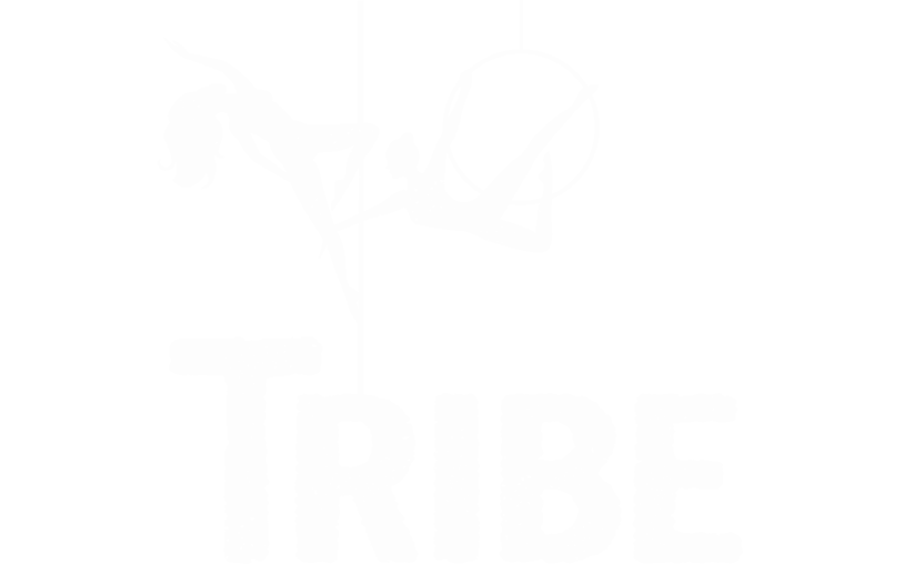 Tribe Fitness and Dance Studio Dublin