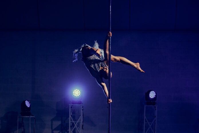 Tribe - Adults - 34 - Marcin-234255-7096