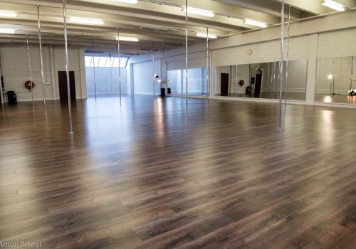 Tribe Fitness Dance Studio - Pole Room